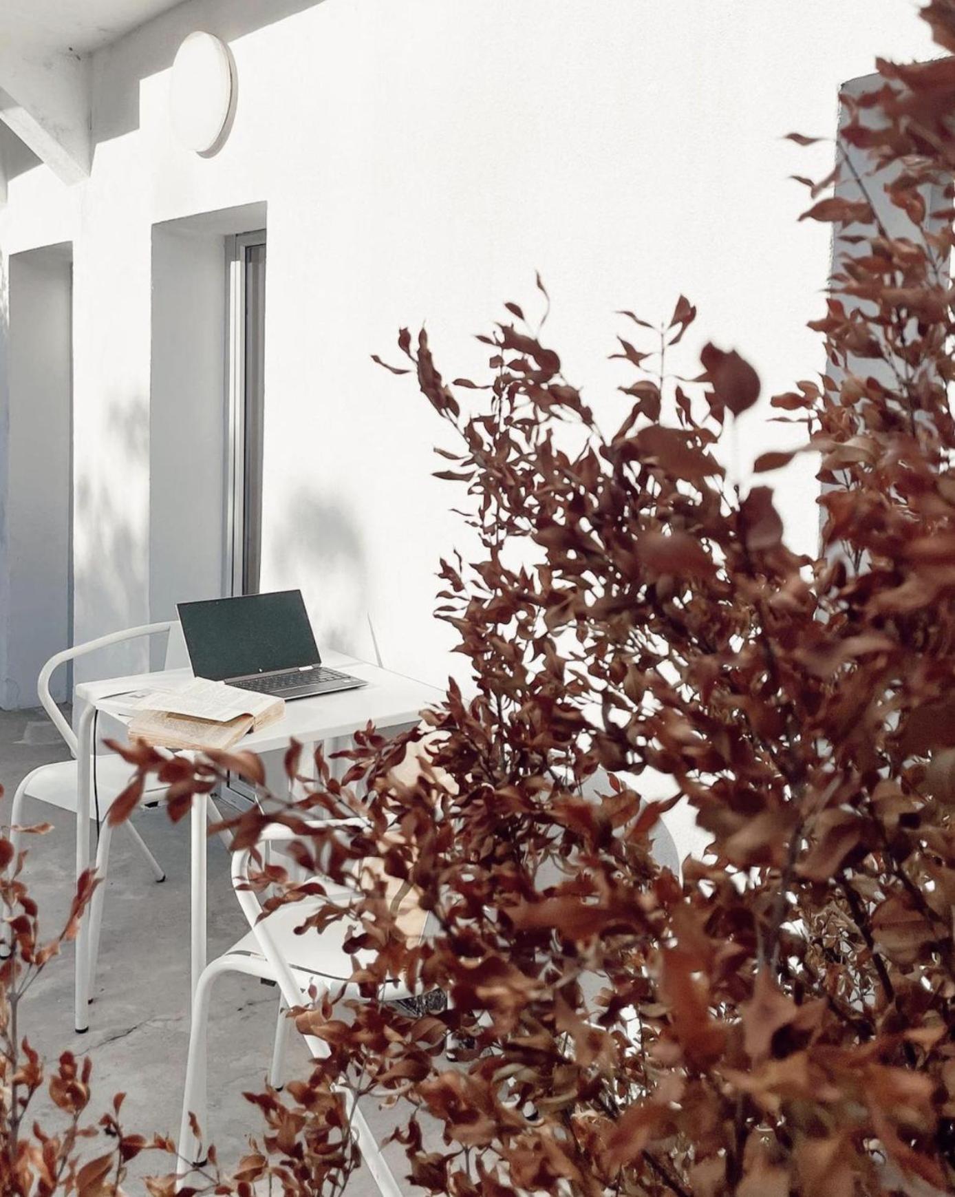 Apartamento Cozy Lisbon Graca Exterior foto